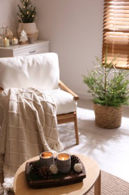 Noel için saksılarla süslenmiş güzel bir oda. İç tasarım