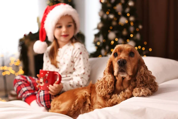 かわいいです女の子とともに英語コッカーSpaniel上のベッドで部屋装飾されたクリスマス — ストック写真