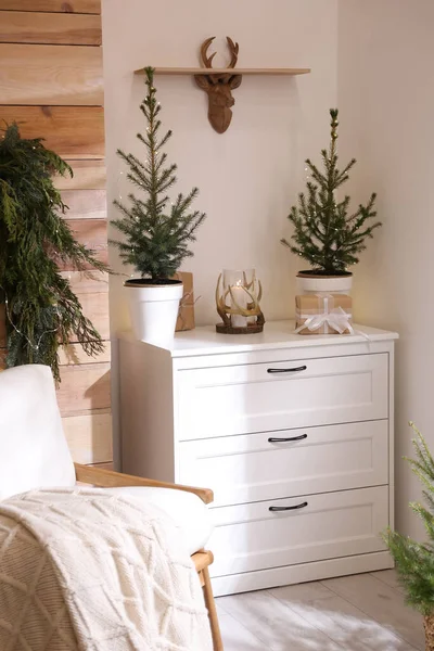 Belle Chambre Décorée Pour Noël Avec Des Sapins Pot Design — Photo