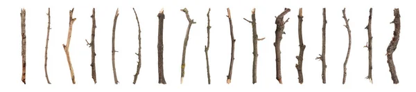 白色背景上的一套干枯的老树枝 条幅设计 — 图库照片