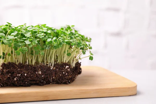 Verse Biologische Microgreen Witte Tafel Close — Stockfoto