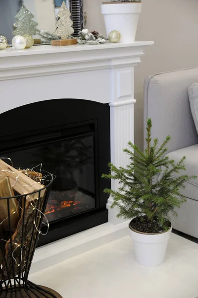 Kleine Tanne Auf Dem Fußboden Neben Dem Kamin Stilvolles Interieur — Stockfoto