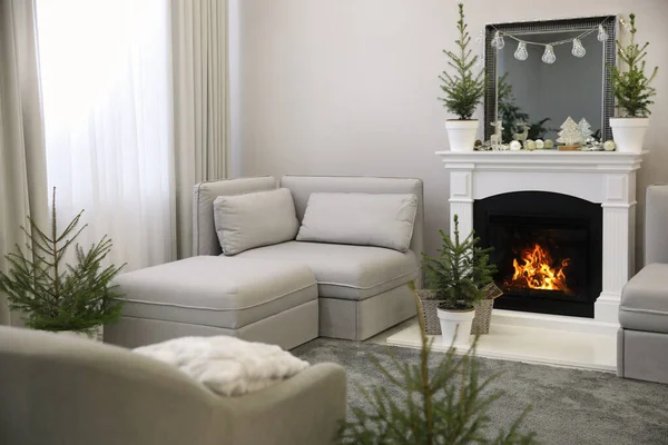 Küçük Köknar Ağaçları Noel Süslemeleri Olan Şık Bir Oturma Odası — Stok fotoğraf