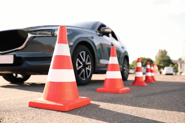 Trafikkottar Nära Bilen Utomhus Körskoleprov — Stockfoto