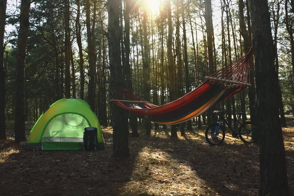 夏日在森林里的空吊床 野营帐篷和自行车 — 图库照片