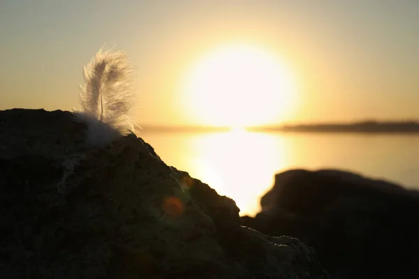 日落时海滩上的羽毛 治疗概念 — 图库照片