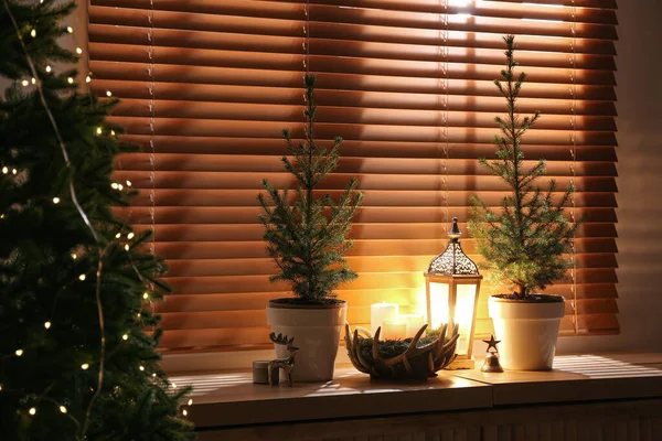 Belle Chambre Intérieure Décorée Avec Des Sapins Pot — Photo