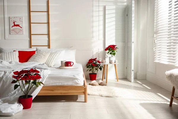 明るい居心地の良い部屋でベッドの近くのポインセチア クリスマスインテリアデザイン — ストック写真