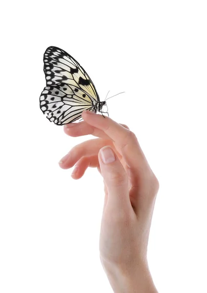 Frau Mit Schönem Reispapier Schmetterling Auf Weißem Hintergrund Nahaufnahme — Stockfoto