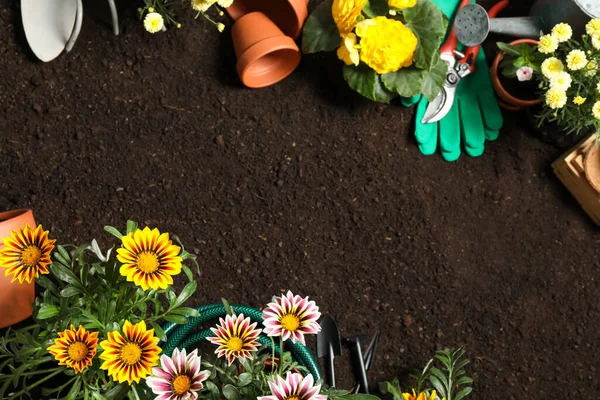 Composição Colocação Plana Com Equipamento Jardinagem Flores Solo Espaço Para — Fotografia de Stock