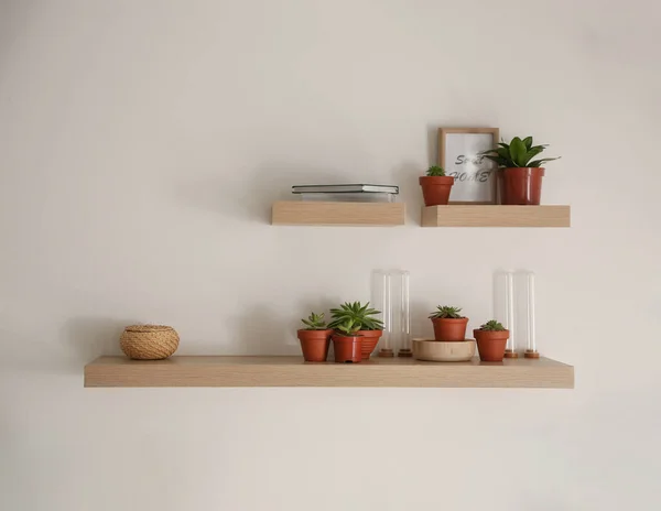 Wooden Shelves Beautiful Plants Different Decorative Elements Light Wall — Stock Photo, Image