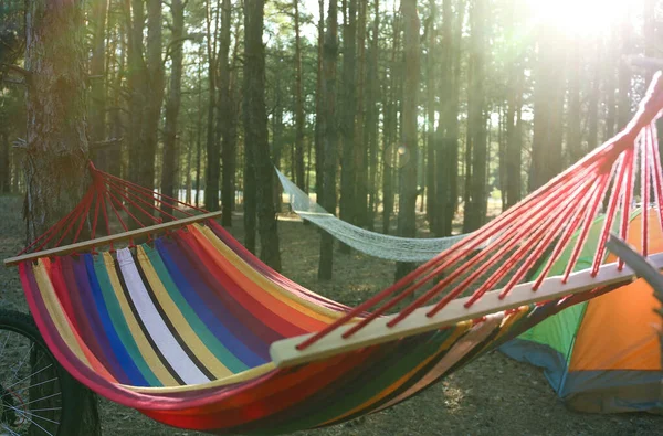 夏の日に森の中で空のハンモックやキャンプテント — ストック写真