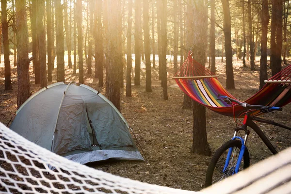 Hamacas Vacías Tienda Campaña Bicicleta Bosque Día Verano —  Fotos de Stock