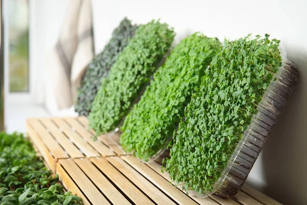 Verse Biologische Microgreens Assortiment Bij Houten Krat Close — Stockfoto