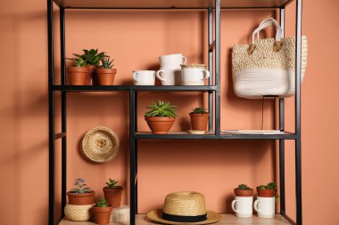 Renk duvarının yanında dekoratif elementleri olan şık bir raf ünitesi. İç tasarım