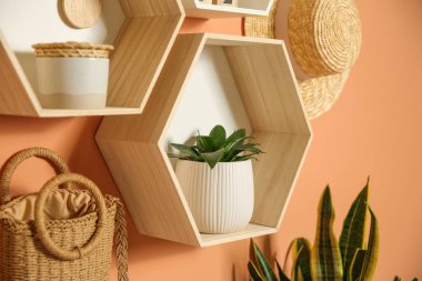 Renk duvarında dekoratif elementler olan raflar. İç tasarım