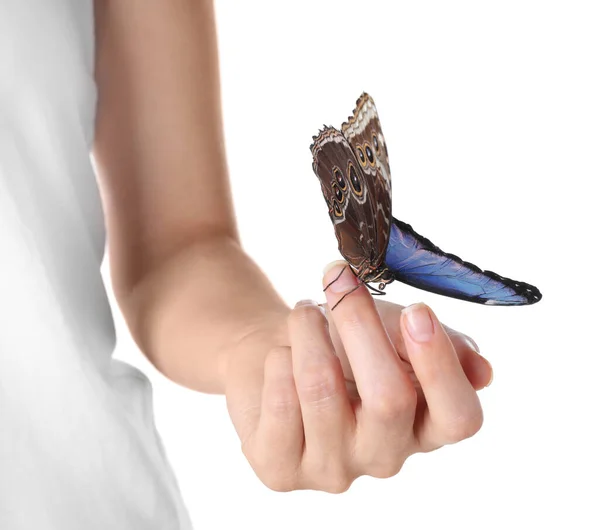 Kobieta Gospodarstwa Piękne Wspólne Morpho Motyl Białym Tle Zbliżenie — Zdjęcie stockowe