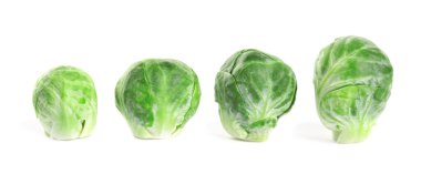 İzole edilmiş taze Brüksel lahanaları