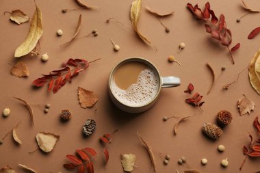 Kahverengi arka planda bir fincan sıcak içecek ve sonbahar yapraklı düz bir kompozisyon vardı. Sıcak atmosfer