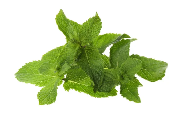 Leaves Fresh Mint White Background — Stock Photo, Image