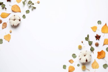 Beyaz arkaplan üzerindeki metin için sonbahar yaprakları ve boşluk içeren düz düzenleme