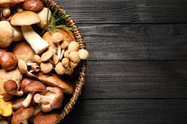 Siyah ahşap masada değişik taze mantarlar, üst manzara. Metin için boşluk