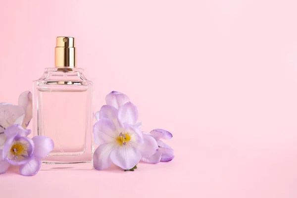 Bottle Perfume Freesia Flowers Pink Background Space Text — Stock Photo, Image