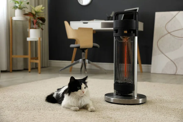 Cat Modern Electric Halogen Heater Floor Room — Stock Photo, Image