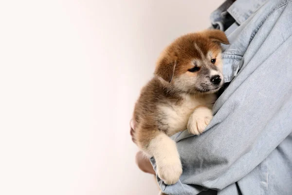 Woman Holding Akita Inu Puppy Light Background Closeup Space Text — Stock Photo, Image