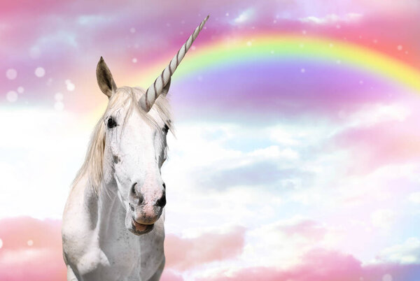 Magic unicorn in beautiful sky with rainbow and fluffy clouds. Fantasy world