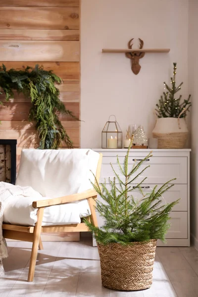 Schöner Weihnachtlich Geschmückter Raum Mit Topftannen Innenarchitektur — Stockfoto
