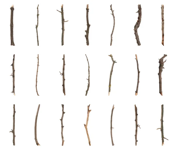 Beyaz Arkaplanda Eski Kuru Ağaç Dalları Kümesi — Stok fotoğraf