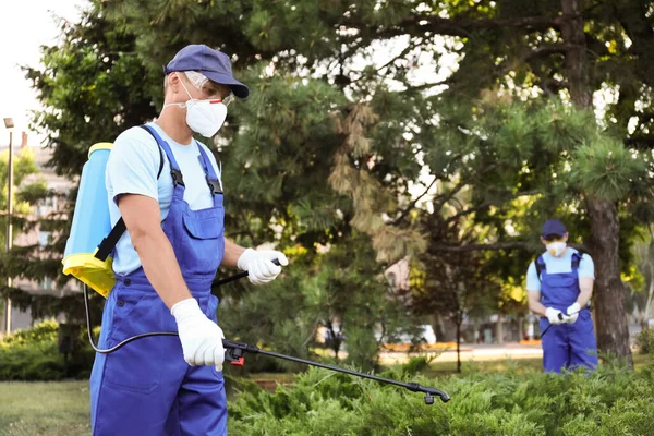 Lavoratori Spruzzano Pesticidi Cespuglio Verde All Aperto Controllo Dei Parassiti — Foto Stock