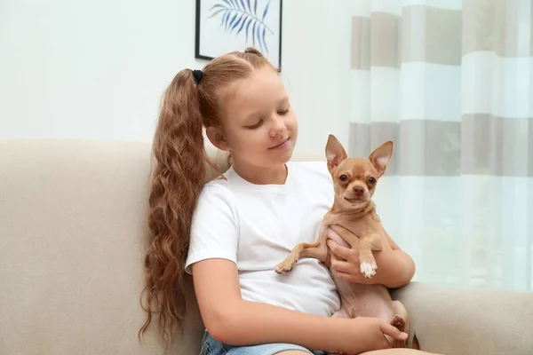 Criança Bonita Com Seu Cachorro Chihuahua Sofá Casa Adorável Animal — Fotografia de Stock