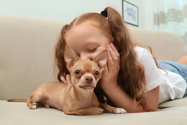 Mignon Petit Enfant Avec Son Chien Chihuahua Sur Canapé Maison — Photo