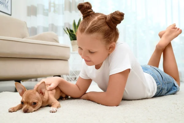 Mignon Petit Enfant Avec Son Chien Chihuahua Sur Sol Maison — Photo