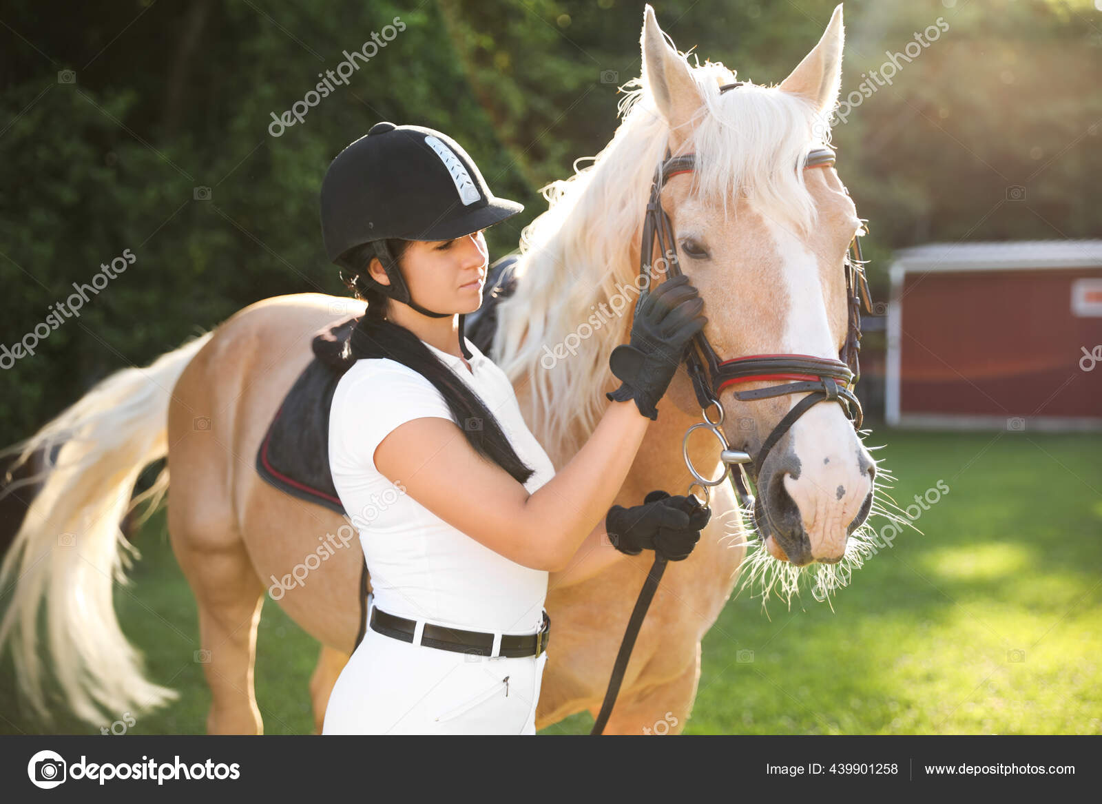 Traje equitación fotos de stock, de Traje de royalties | Depositphotos