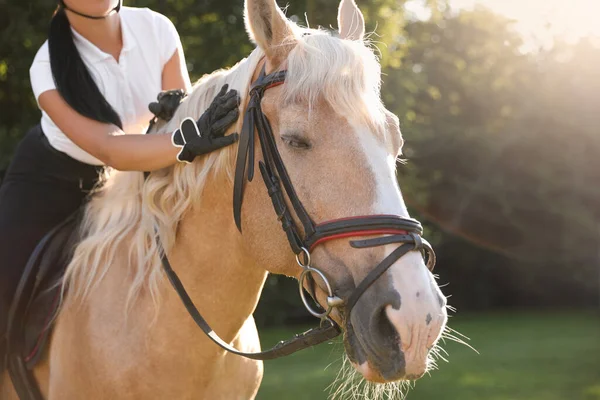 Young Woman Equestrian Suit Riding Horse Outdoors Sunny Day Closeup — Stock Photo, Image