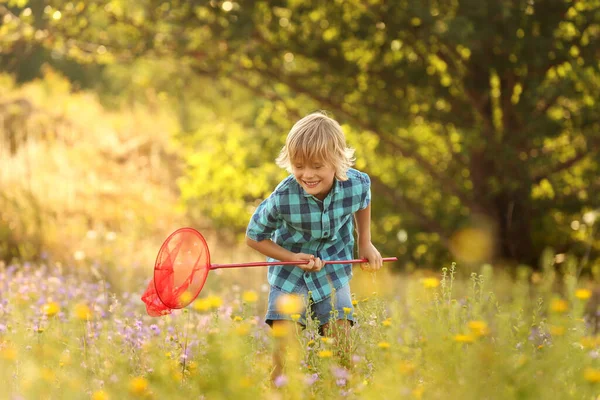 Kelebek Ağlı Şirin Bir Çocuk Çocuk Doğada Vakit Geçiriyor — Stok fotoğraf