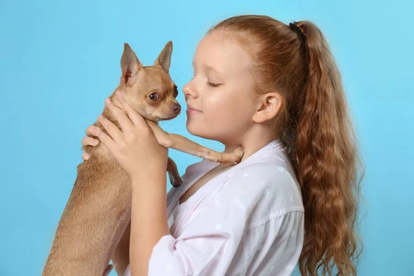 Mignon Petit Enfant Avec Son Chien Chihuahua Sur Fond Bleu — Photo