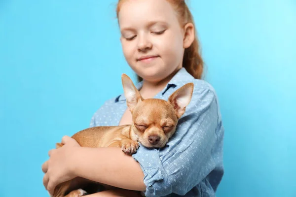 Criança Bonito Com Seu Cão Chihuahua Fundo Azul Claro Adorável — Fotografia de Stock