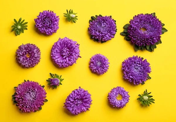 Sarı Arka Planda Güzel Pabuçlar Düz Yatış Sonbahar Çiçekleri — Stok fotoğraf