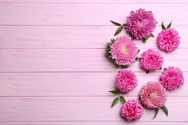 Prachtige Asters Ruimte Voor Tekst Roze Houten Achtergrond Vlakke Lay — Stockfoto