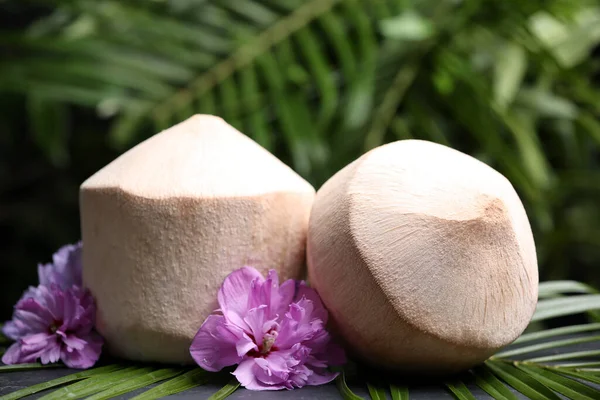 Jovens Cocos Descascados Com Folha Palma Flores Mesa — Fotografia de Stock