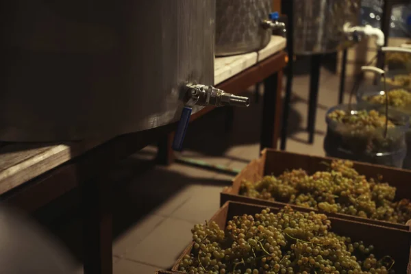 Tanques Aço Para Fermentação Vinhos Uvas Frescas Fábrica — Fotografia de Stock