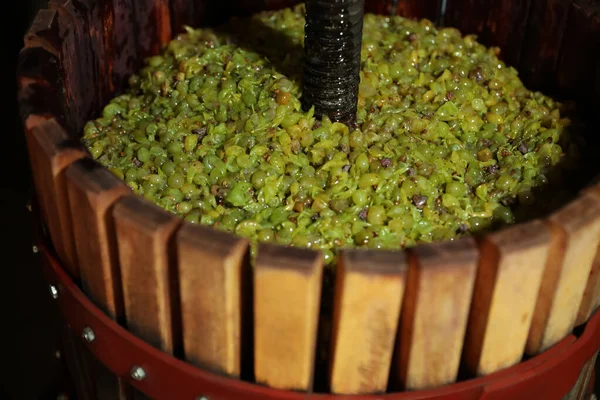 Holzpresse Mit Traubenmost Drinnen Nahaufnahme — Stockfoto