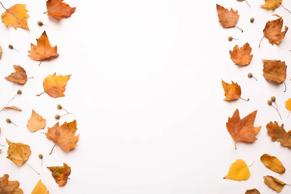 平铺着秋天的叶子和白底文字的空间的作文 — 图库照片