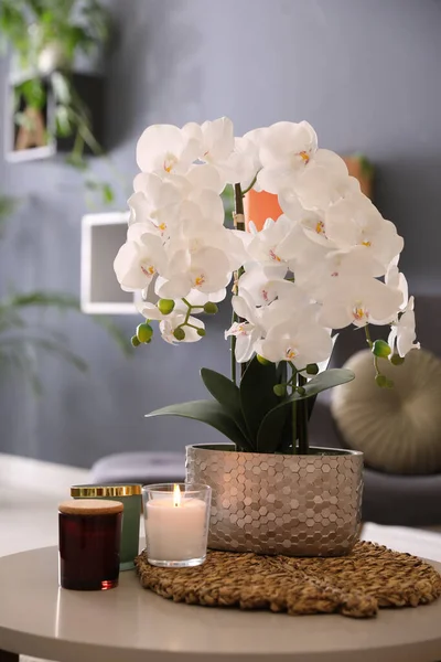 Anggrek Putih Yang Indah Dan Lilin Atas Meja Kamar Desain — Stok Foto