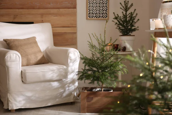 거실에 고꾸라져 전나무들 크리스마스 인테리어 디자인 — 스톡 사진