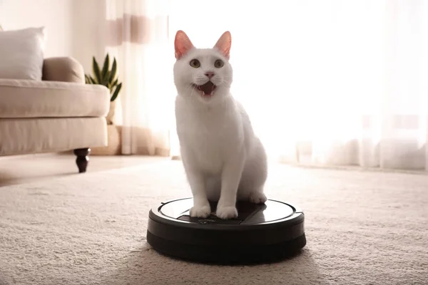 Moderní Robotický Vysavač Roztomilá Kočka Podlaze Uvnitř — Stock fotografie